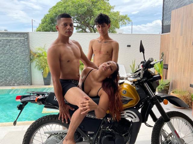 SexeSauvagesA - Sexe cam en vivo - 25697669