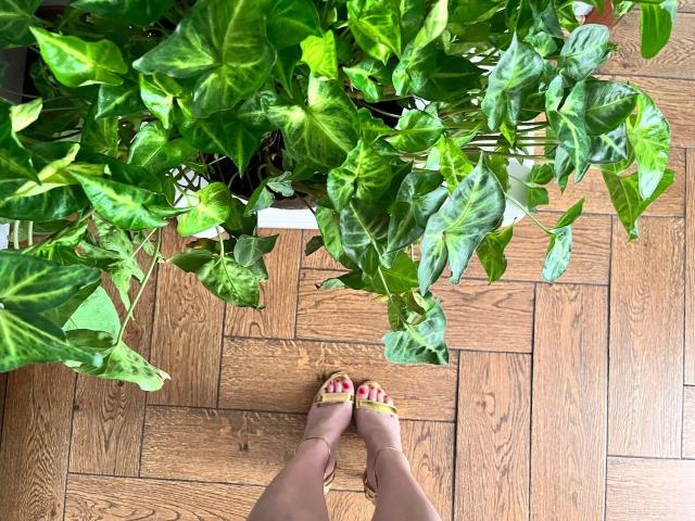 AriaOn - сексуальная веб-камера в реальном времени - 25749269