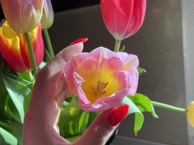 Euphorias - сексуальная веб-камера в реальном времени - 25844173