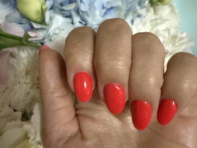 Stefanni - Porno na żywo i seks kamera - 25862961