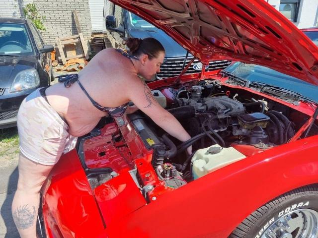 Rotkaeppchen-hot with big ass, tattoos, and a bra, leans over a red car's open hood, working on the engine. She's wearing dirty shorts, and the car's hood is red.