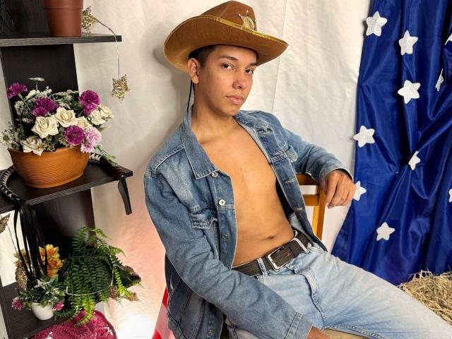 EdwinBlaze, shirtless, wearing a brown cowboy hat, blue denim jacket, and jeans, sitting with a relaxed, confident expression, hand on belt, surrounded by flowers and a star-covered blue cloth.
