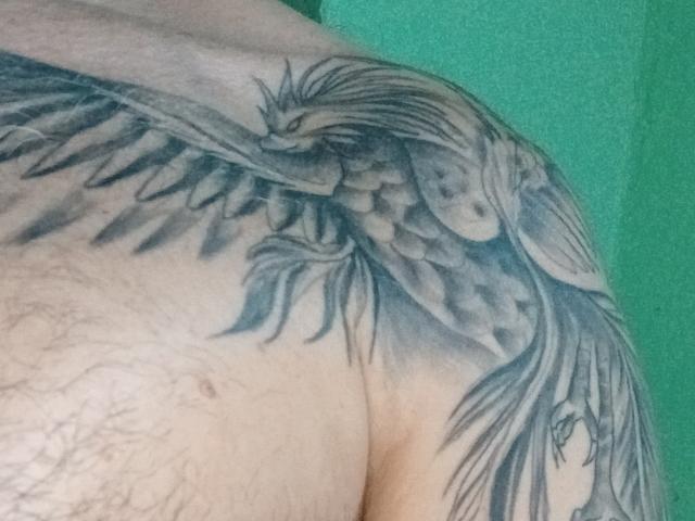 VaneFran's tattoo of a detailed, gray-inked, winged bird with feathers spread out, covering their shoulder and upper arm. Green background. Visible hairy skin.