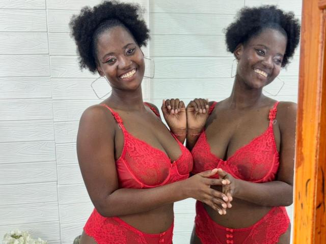 Digital illustration of a stylized medieval flag with a black eagle on a red background, centered in the frame. Simple, bold lines. Minimalist color palette. Flat design.