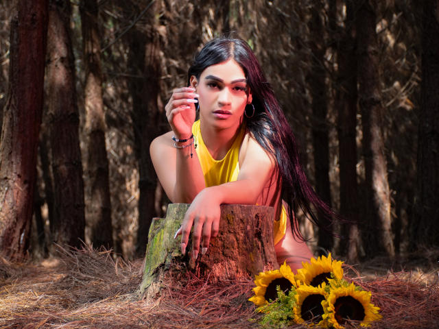 IrinaFerrero with long black hair, yellow top, leaning on tree stump, holding phone, wearing bracelets, sunflowers in front, forest background, looking at camera, medium shot.