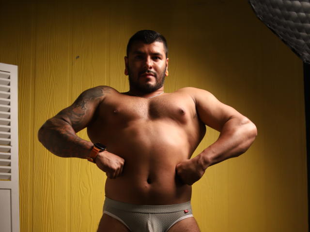 BastianGreco, muscular, tattooed, bearded, standing, hands on hips, wearing gray mesh underwear, serious expression, tan skin, chest hair, large bulge, studio lighting, yellow wall, watch on wrist.