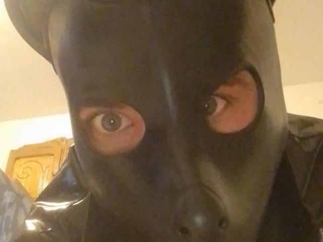Bricebd wearing a black latex mask with eye holes, exposing their eyes. Their mask has a nose section and a glossy texture. Bricebd's eyes are looking directly at the camera.