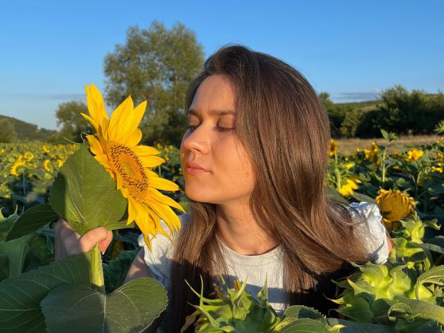 AlvaGreer with brown hair, eyes closed, sniffing a large yellow sunflower in a field, wearing a white and black striped shirt, sun shining, green leaves around.