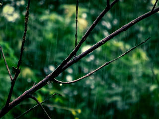 GlitterOneTest-hot - Live porn &amp; sex cam - 26315333