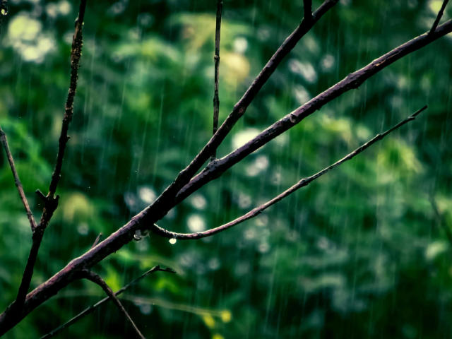 GlitterOneTest-hot - Live porn &amp; sex cam - 26315333