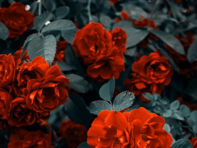 GlitterOneTest-hot - Live porn &amp; sex cam - 26315337