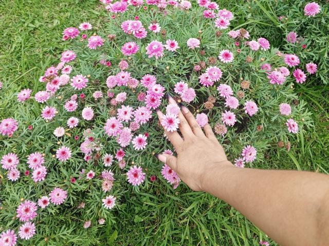 EmmaaRodriguez - Live Sex Cam - 26333653