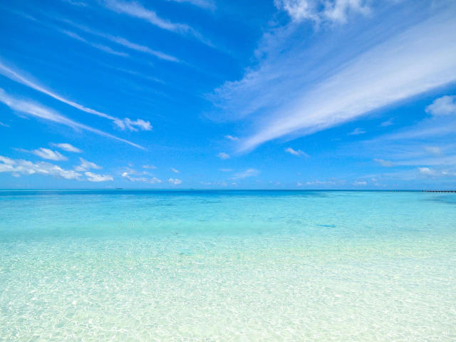 LittleApril-hot - Camera khiêu dâm &amp; quyến rũ trực tiếp - 26342697