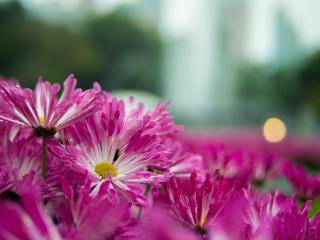 LittleApril-hot - Camera khiêu dâm &amp; quyến rũ trực tiếp - 26355101