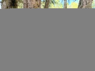Edahi - Camera khiêu dâm &amp; quyến rũ trực tiếp - 26363085