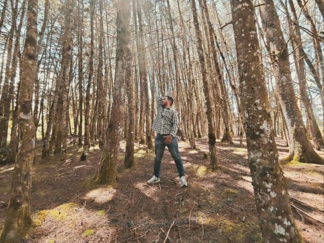 Edahi se tient dans une forêt, vêtu d'une chemise à carreaux, d'un jean bleu et de baskets blanches, il regarde vers le haut, une main sur sa tête, entouré de grands arbres élancés..