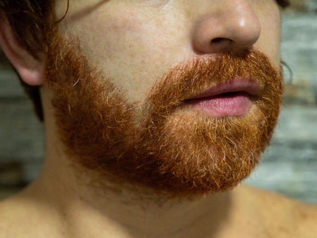 Das Gesicht von MichaelCosio mit einem dicken, roten, lockigen Bart und leicht geöffneten, rosafarbenen Lippen. Seine helle Haut hat leichte Sommersprossen. Das Bild konzentriert sich auf seinen Bart und den unteren Teil seines Gesichts..