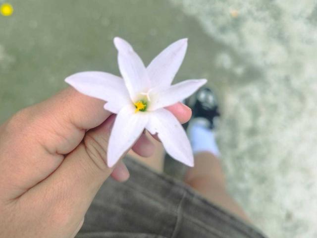 LissyCarter - Live porno og sexkamera - 26466153