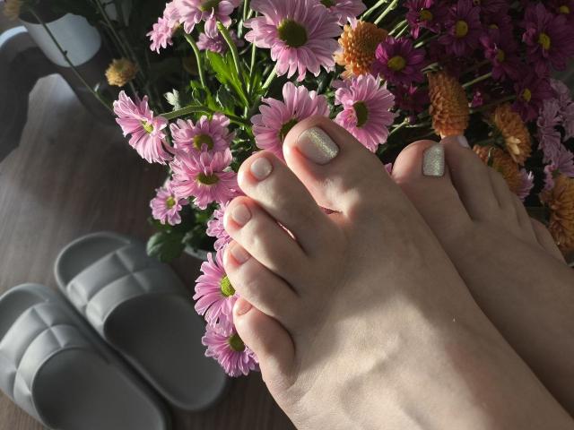 Dreia - Live sex cam - 26546568