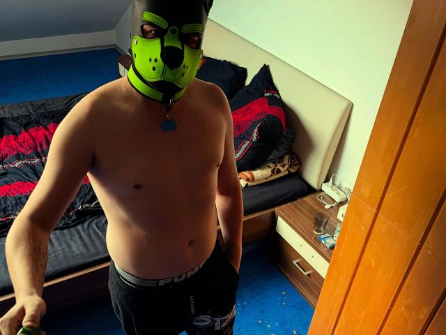 RockyThepup-hot, shirtless with a green dog mask, black pants, and a blue collar, standing in a room with a bed and a wooden door. His ass is visible.