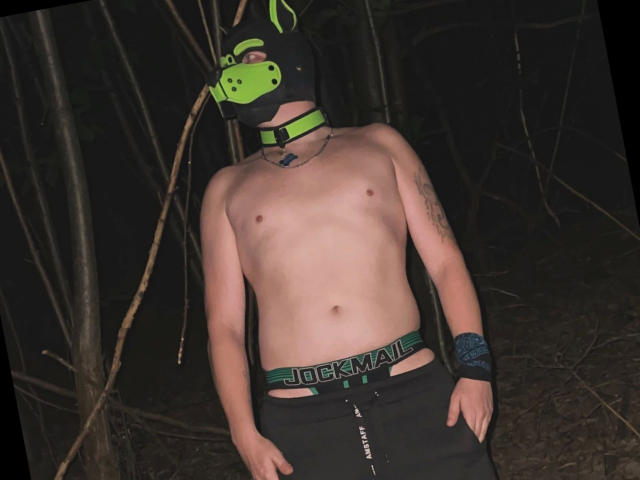RockyThepup-hot, shirtless, wearing black mask with green ears, green and black underwear, black pants, blue wristband, standing in dark forest, showing tattoo on right arm.