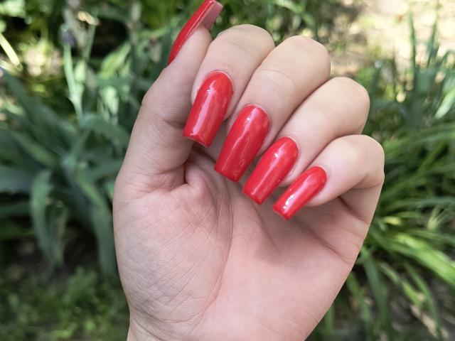 Niferttiti - Live sex cam - 26639758