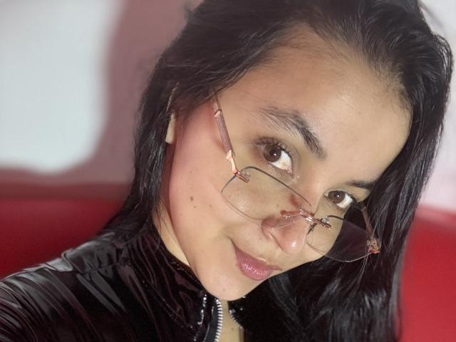 Close-up of a coat of arms with a red shield, white cross, and red lion holding a sword. Simple, bold colors and clean lines. Traditional European heraldic design.