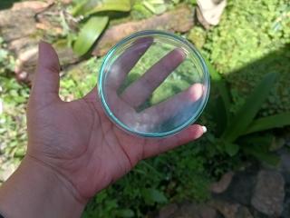 EskelaTheHuntress - Live porn &amp; sex cam - 26955210