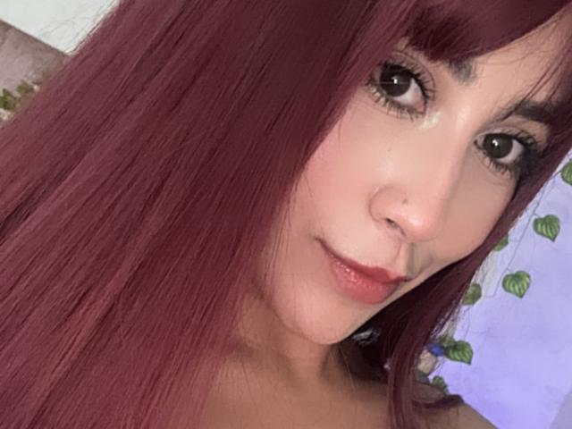 Digital illustration of five identical, stylized, flat, pale pink coats of arms stacked vertically. Simple, bold shapes with minimal detail. Clean, consistent design. No texture or shading.