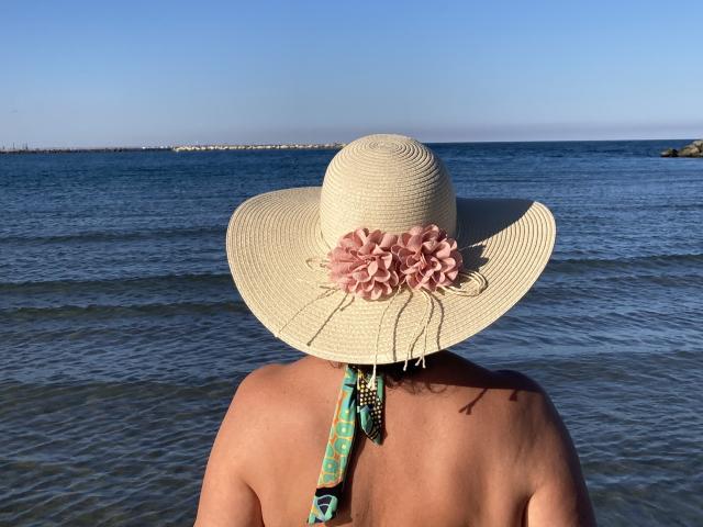 DeesseBleue's back, wearing a wide-brimmed, beige straw hat with pink flower decorations, standing in shallow water, green and black striped necktie, bare shoulders, clear blue sky.