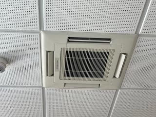 CatwalkStar-hot - Camera khiêu dâm &amp; quyến rũ trực tiếp - 27149923