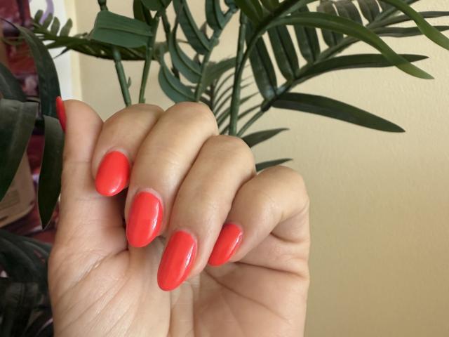 Didiene's hand with shiny, bright red, almond-shaped nails, slightly curled, next to green plant leaves, beige wall in background. Her skin is light, nails are glossy and well-manicured.