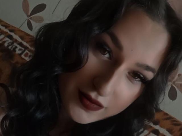 Illustrazione stilizzata e semplificata di uno stemma araldico rosso, bianco e nero. Forme geometriche audaci. Design centrato e simmetrico. Gli elementi rossi e bianchi predominano, con accenti neri..