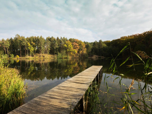 RaulModelTest's wooden dock sticks out over a calm, reflective lake with a forest of green and orange trees in the background, under a cloudy sky.