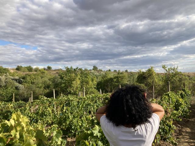 DeesseBleue with curly black hair, white shirt, arms raised, standing in vineyard, facing cloudy sky, green vines in foreground.