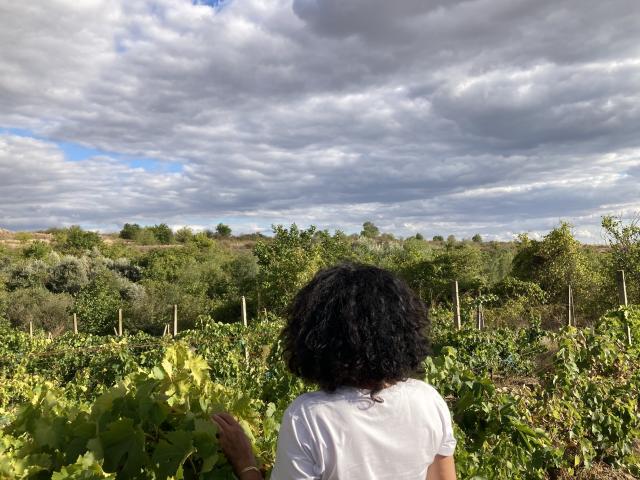 DeesseBleue with curly black hair, white shirt, facing vineyard, holding green leaves, under cloudy sky, standing in lush green field.