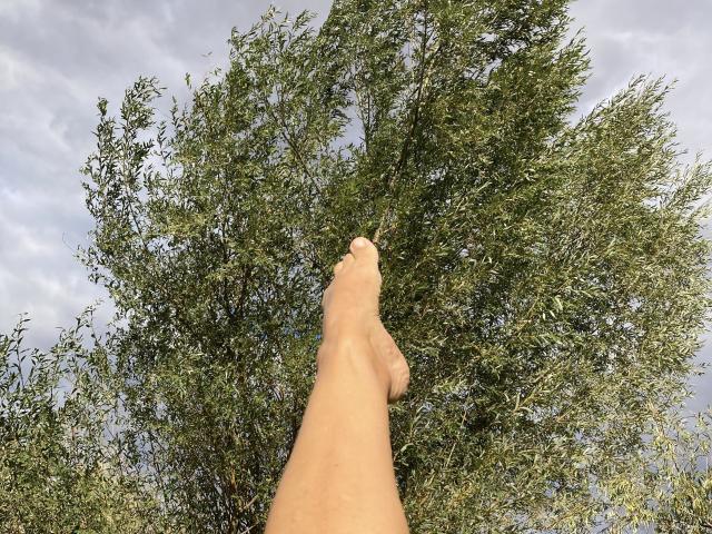 DeesseBleue's bare foot is pointed upward, extending towards a large green tree with dense leaves against a cloudy sky. Her skin is tan, and the foot is centered.