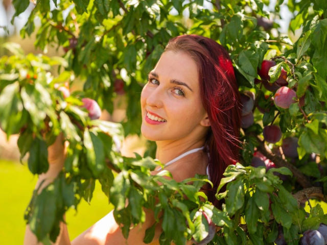 Sweet-Candy-hot with red hair, smiling, surrounded by green leaves and purple plums, holding a branch with her hand. Bright sunlight highlights her face and hair.