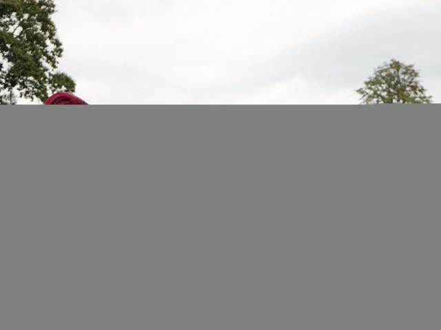 Stylized, flat design with bold colors. Two large, abstract letters "B" and "V" in red and green. Textured, patterned background. Simplified, modern aesthetic. Minimalistic, graphic approach.