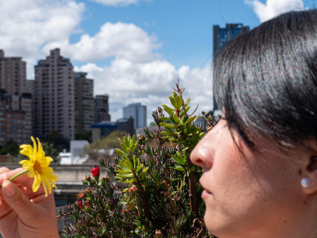 JainaRogers - сексуальная веб-камера в реальном времени - 27317658