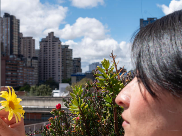 JainaRogers - сексуальная веб-камера в реальном времени - 27317665