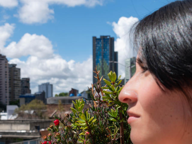 JainaRogers - сексуальная веб-камера в реальном времени - 27317672