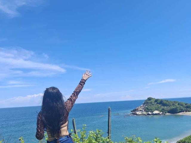 ViolettaSquirt with long dark hair, raised arm, brown patterned top, exposing her small tits, stands by a cactus, facing a clear blue ocean and a green island.