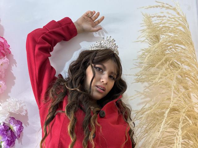 Stylized banner with bold red "B" and smaller white "V" in the center. Simple, flat colors. Clean lines. Minimalist design. No textures or gradients. Flat, graphic style.