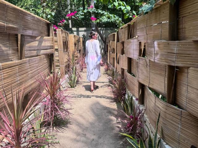 AdharaCooperr with back to camera, wearing white dress, standing on dirt path between bamboo walls, surrounded by red and green plants, and pink flowers in sunny garden.