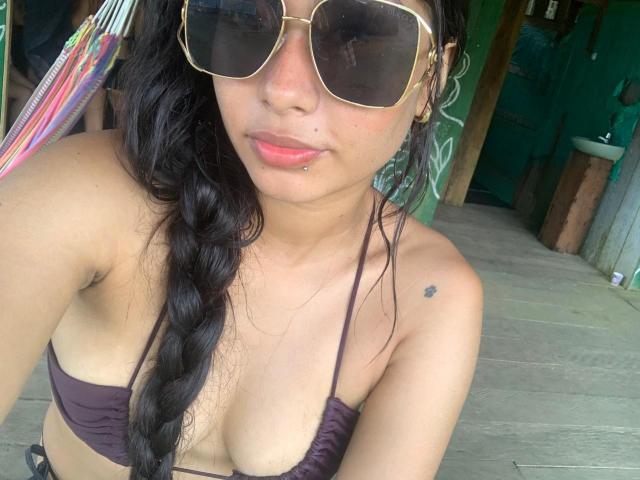 KinkyCuteLady with tan skin, black braid, pink lipstick, nose ring, small tattoo on shoulder, dark sunglasses, purple bikini top, showing her small tits, standing on wooden deck.