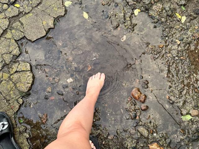 Freile - Live porn &amp; sex cam - 27718380