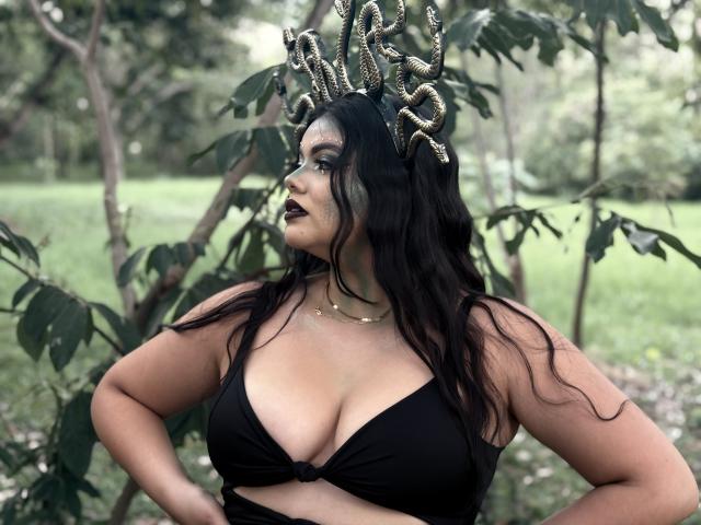 Digital artwork of a medieval-style banner. Centered, a large white letter "V" with intricate black patterns. Flanked by red and pink gradients. Minimalistic, focused on the emblem.