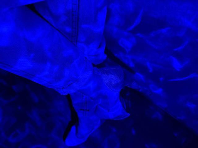 Siyana - Live porn &amp; sex cam - 27796706