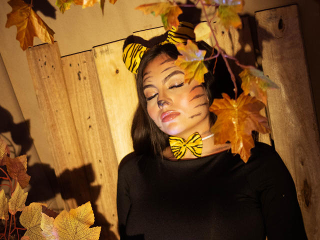 DorothyLane con orejas de gato y una pajarita amarilla, camisa negra, hojas de otoño en el cabello, ojos cerrados, rayas de cebra en las mejillas, luz cálida, fondo de madera..